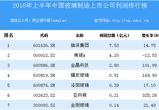 2018上半年中国玻璃制造上市公司利润排行榜