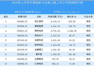 2018年上半年中国电机行业新三板上市公司利润排行榜