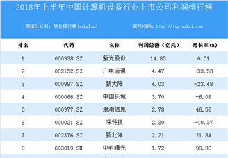 2018上半年中国计算机设备行业上市公司利润排行榜