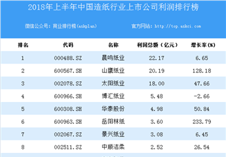 2018上半年中国造纸行业上市公司利润排行榜