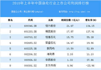 2018上半年中国涤纶行业上市公司利润排行榜