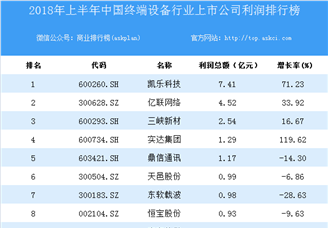 2018上半年中国终端设备行业上市公司利润排行榜