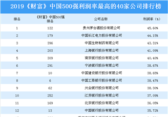 2019《财富》中国500强利润率最高的40家公司排行榜