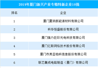 2019厦门新兴产业专精特新企业十强排行榜