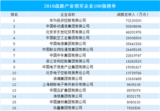 2019中国战略性新兴产业领军企业100强排行榜（附完整榜单）