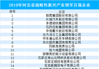 2019年河北省战略性新兴产业领军百强企业名单（附完整名单）