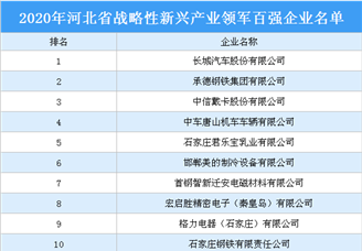 2020年河北省战略性新兴产业领军百强企业排行榜