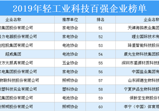 2019年轻工业科技百强企业排行榜