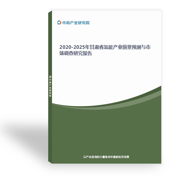 2020-2025年甘肅省氫能產業前景預測與市場調查研究報告