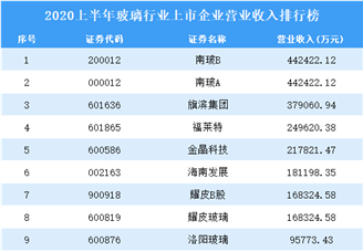 2020上半年玻璃行业上市企业营业收入排行榜