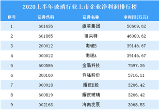 2020上半年玻璃行业上市企业净利润10强排行榜