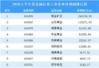 2020上半年贵金属行业上市企业净利润排行榜