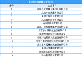 2020年中国环境企业50强排行榜