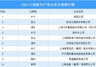 2021上海新兴产业企业百强排行榜（附完整榜单）