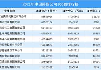 2021年中国跨国公司100强排行榜（附榜单）