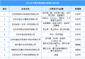 2021年中国互联网成长型前20家企业排行榜