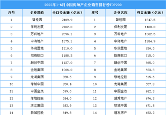 2022年1-6月中国房地产企业销售排行榜TOP200