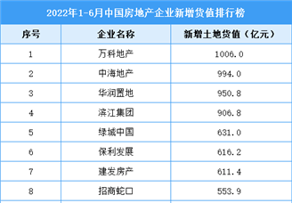 2022年1-6月中国房地产企业新增货值排行榜TOP100