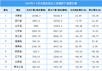 2022年1-5月全国各省市工业锅炉产量排行榜