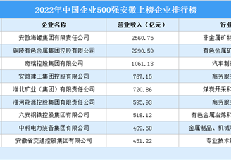 2022年中国企业500强安徽上榜企业排行榜（附榜单）