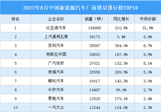 2022年8月中国新能源汽车厂商销量排行榜TOP10（附榜单）