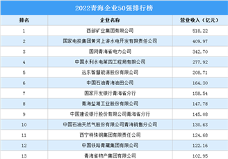 2022青海企业50强排行榜（附榜单）