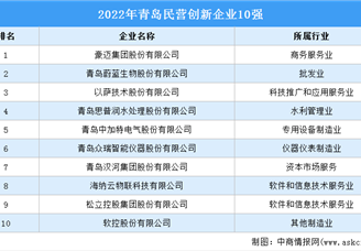 2022年青岛民营创新企业10强排行榜