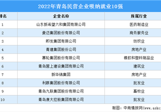 2022年青岛民营企业吸纳就业TOP10