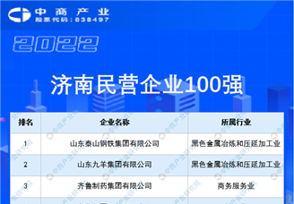 2022年济南民营企业100强（附全榜单）