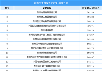 2022年贵州服务业企业100强名单（附完整榜单）