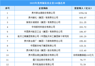 2022年贵州制造业企业100强名单（附完整榜单）