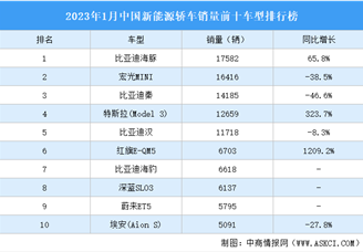 2023年1月中国新能源轿车销量前十车型排行榜（附榜单）