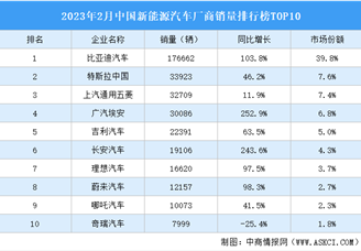 2023年2月中国新能源汽车厂商销量排行榜TOP10（附榜单）