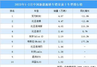 2023年1-2月中国新能源轿车销量前十车型排行榜（附榜单）