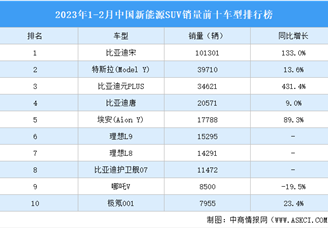 2023年1-2月中国新能源SUV销量前十车型排行榜（附榜单）