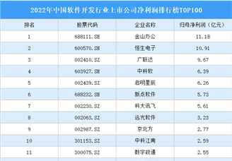 2022年中国软件开发行业上市公司净利润排行榜TOP100（附榜单）