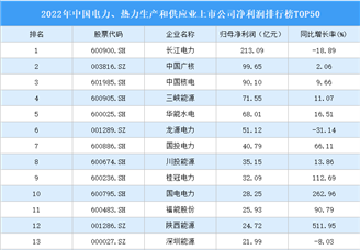 2022年中国电力、热力生产和供应业上市公司净利润排行榜TOP50（附榜单）