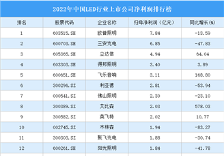 2022年中国LED行业上市公司净利润排行榜（附全榜单）