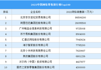 2023中国网络零售排行榜Top 100（附榜单）