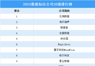 2023数据标注公司20强排行榜（附榜单）