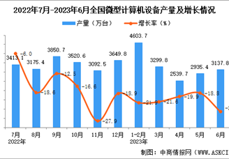 2023年6月全国微型计算机设备产量数据统计分析