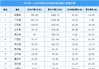 2023年上半年全国各省市家用电冰箱产量排行榜