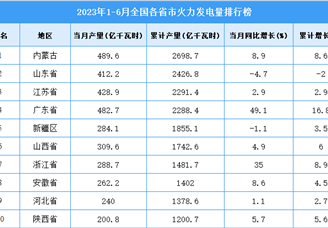 2023年上半年全国各省市火力发电量排行榜