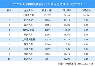 2023年9月中国新能源汽车厂商零售销量排行榜TOP10（附榜单）