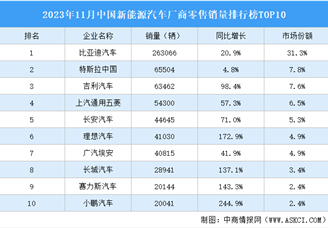 2023年11月中国新能源汽车厂商零售销量排行榜TOP10（附榜单）