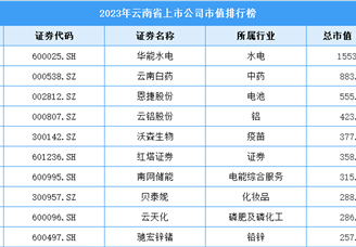 2023年云南省上市公司市值排行榜（附榜单）