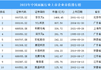 2023年中国面板行业上市企业市值排行榜（附榜单）