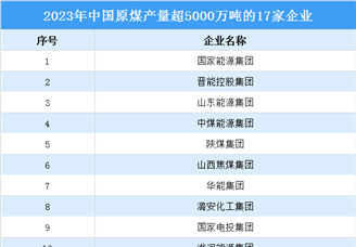 2023年17家企业原煤产量超5000万吨，产量合计约27.9亿吨（图）