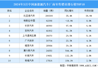 2024年3月中国新能源汽车厂商零售销量排行榜TOP10（附榜单）