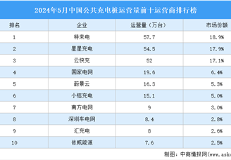 2024年5月中国公共充电桩运营量前十运营商排行榜（附榜单）